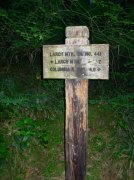 7.25.06 Larch Mountain 012 